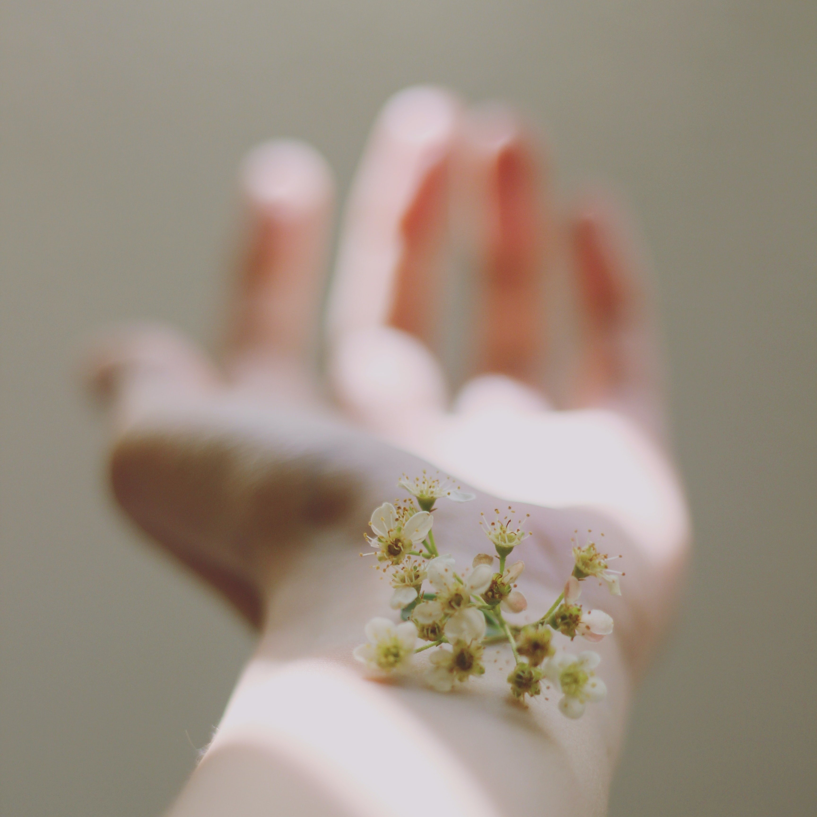 Gentle Nudge Non-Acid Serum